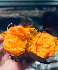 ����������û�Թ������������Ϊ����ר�����˿���