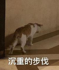 年轻人不爱打电话,变成一个事实