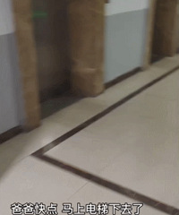 11�����������������ж��й�����Ƭ�����ˣ����ֱ���������