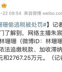 为什么“网红”赚这么多还要逃税?