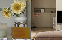 ˫11ּǣֳĻӣͶӰ˲䲻