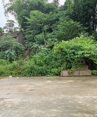 作为新郎我也想让大家见证一下我的婚礼