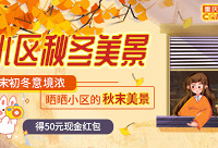 晒小区秋末景色,得50元现金红包