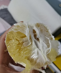 pdd的黄金葡萄柚真的不错,和贵一倍的味道一样