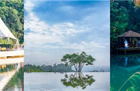 㹫԰̵㣬ôѺˣĵط