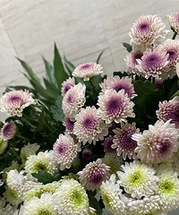 ��PDD�����ʻ��������ף�����30Ԫ���ײ⣡