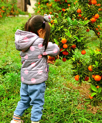 ��ղ�������Ȼ�����ڹ�԰����