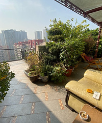 УϾó棡ֱ385ƽƴ󣬸