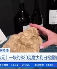 ��S���Եİ���¶������ʲôζ��