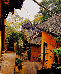 ÿɽвͬľϲЩط̫ʺ