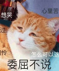 你们冬天买几件新衣服?花3000块买羽绒服贵吗?被老公吐槽了