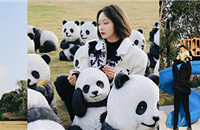 ½մ򿨵أɰèȺ乫԰