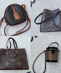 ɹɹ��ӵ�еļ���LV������˳�����һ��ʹ�ø�