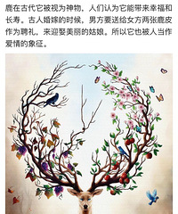 �����������յ�һЩ˽�ţ��ڰ����е�һ����