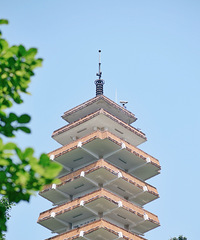 关于鹅岭公园的约定