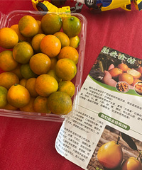 连皮一起吃的纯甜的金桔,超级好吃!一家人都喜欢