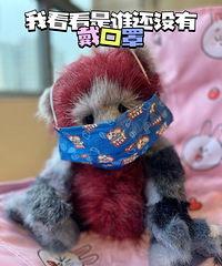 反正都要戴口罩,不如买点乖的!打开新世界大门