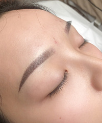 ����ü����������yyds