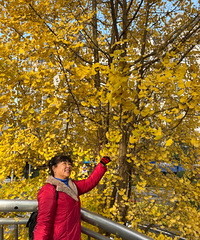 ��С����С����