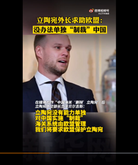 立陶宛求助欧盟制裁中国