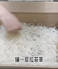 谈恋爱六周年送女生六层“拉菲草”
