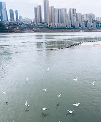 ֶɰǨ¶´򿨹Ժʱ̱