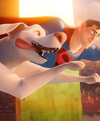 2022������Ƭ�����뿴�Ĳ���