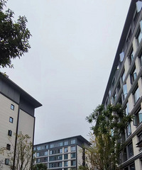 ҼŰ뵺װƽ㿪ˣϿʼ