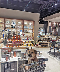 阿里巴巴全国首家线下实体家居店,开在了重庆!