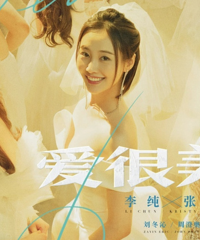 ��Ҫ������������Ƭ�������ⲿ��