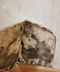 ̫ˣ2015װ޵ķˣżѾˡ