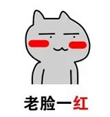 迷上东北老年人相亲节目,太直接太刺激,一来就问同不同意那啥