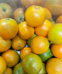 ƴ����2���һ��Ľ�۲���û���ף�ζ����������