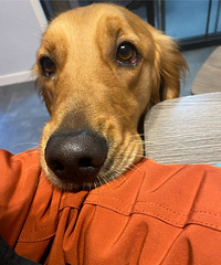 91173CM20С飬̲ȾƲ