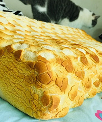 那些年从东南亚千里迢迢带回来的乳胶枕头,你们的还好吗?