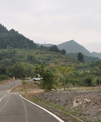 28170CMС飬ϣԷ󷽲