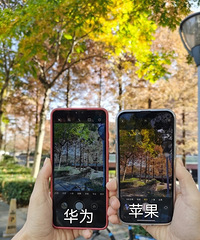 华为VS苹果手机原相机拍照对比,你们更喜欢哪家的色调?