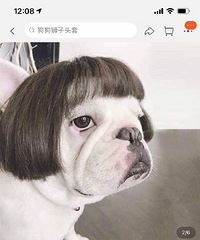 2021淘宝丑东西征集中,大家来看看我发现的这些东西够丑吗