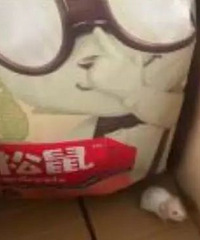 “三只松鼠”零食快递里真有一只仓鼠!网友:剥壳工具?