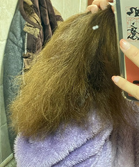 ����������ë���ͷ����ı���˳��һЩ