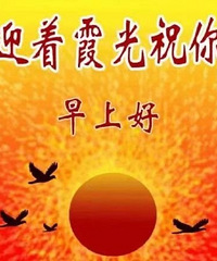 ������ֵ���򡿽���ɿ���2��24.9,������ͯ��˪2��32