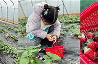 ĩһ29.9ժݮ˳ȥˣֳ