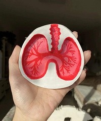 ̻Ҹױ̫д˰ɣ͸̵Ϲ