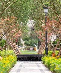 빫԰ȦҵָˣװҲҪճ