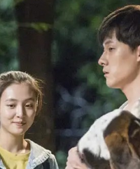 ����ٻ���꽣�Ѱ����������