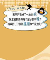 19.9ԪϴײͣҲҪè䡢Ӵ