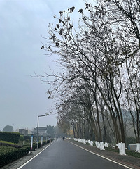 ԰԰ڿȥˣнϵĸоƯ