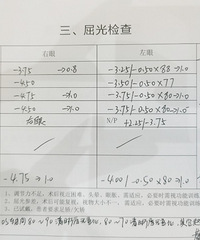 �������ӹ�ժ���ռǣ�375/450�ȣ�����������˫��1.5