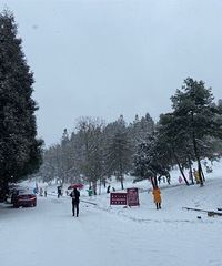 ȥˣѩһҪעⰲȫɽһ·¹ʲ