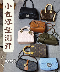 �ɻ�����ֻС����������������ǵ������챬��